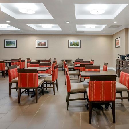 Comfort Suites Near Mcas Бофорт Экстерьер фото